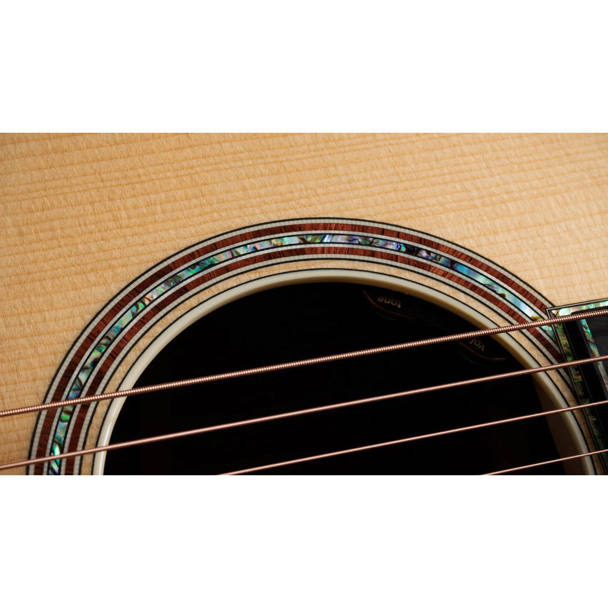 Taylor Gold Label 917e Honduran Rosewood Acoustic-Electric Guitar