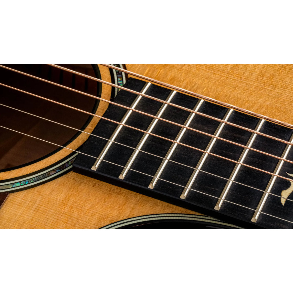 Taylor 614ce Maple Acoustic-Electric Guitar - Torified Solid Sitka Top