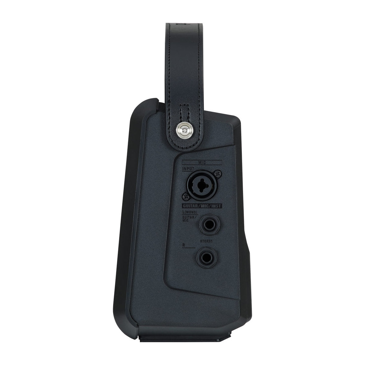 Roland CUBE Street MINI Portable Amplifier - Bananas at Large®