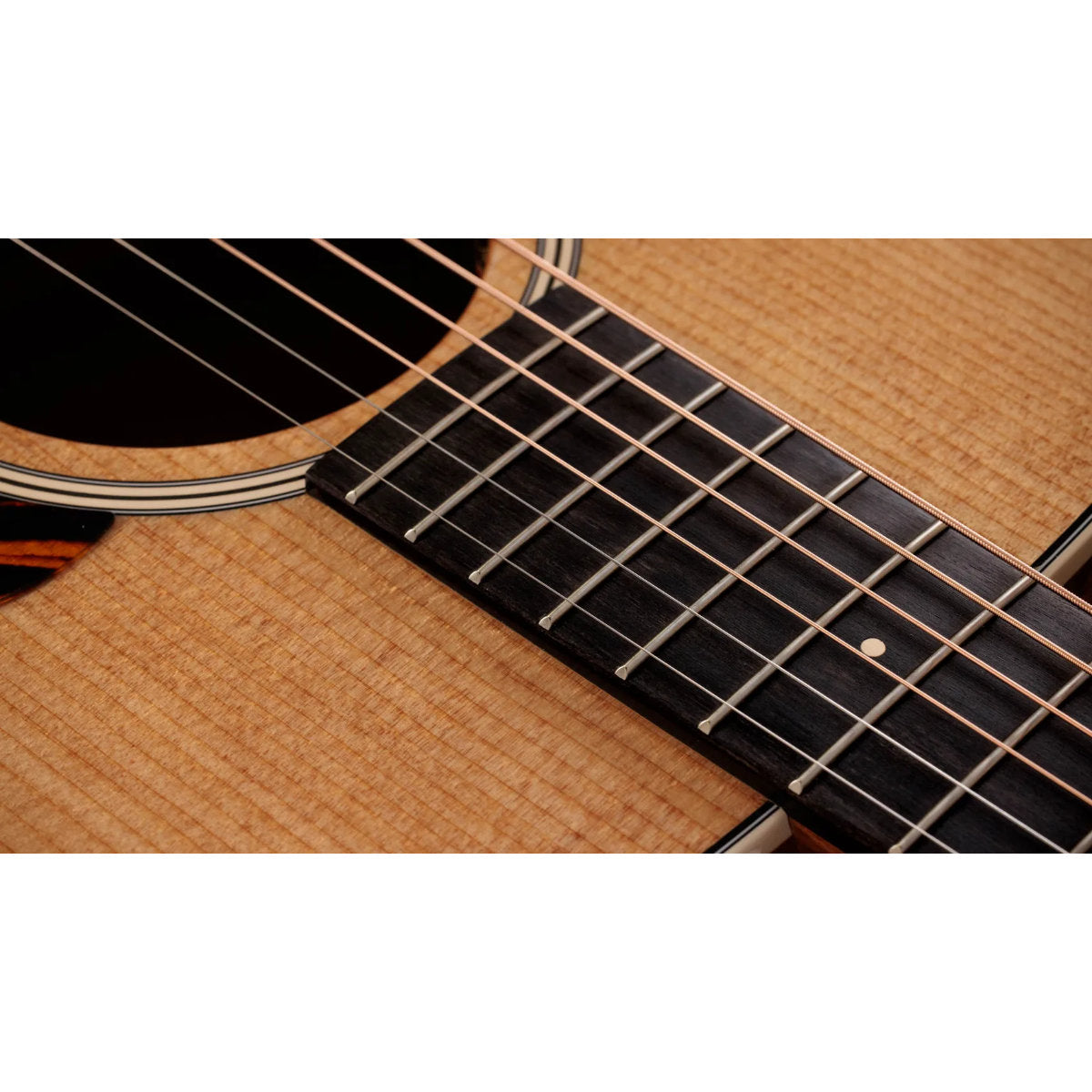 Taylor Gold Label 510e Acoustic-Electric Guitar