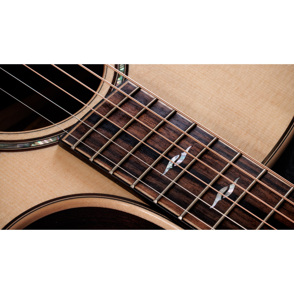 Taylor Next-Gen 814ce Grand Auditorium Acoustic-Electric Guitar - Bananas at Large®