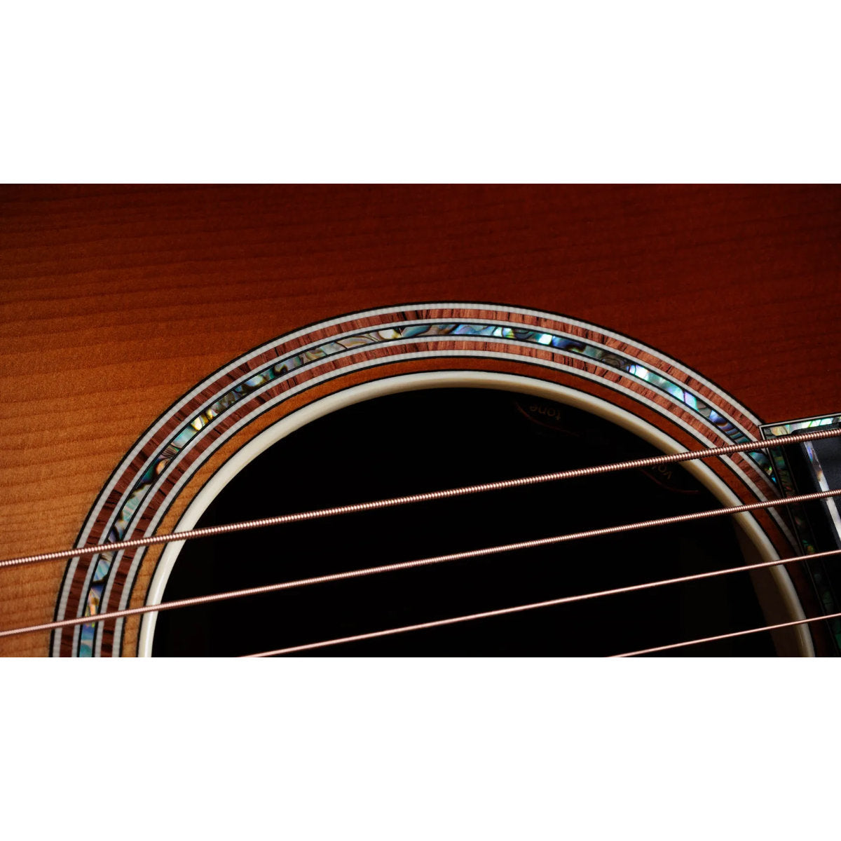 Taylor Gold Label 914e SB Honduran Rosewood Acoustic-Electric Guitar - Teardrop Sunburst