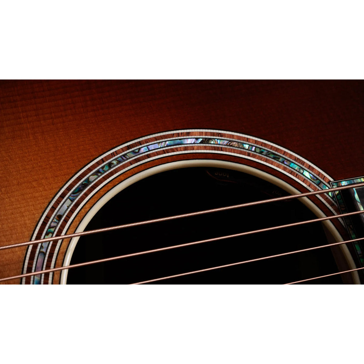 Taylor Gold Label 917e SB Honduran Rosewood Acoustic-Electric Guitar - Teardrop Sunburst