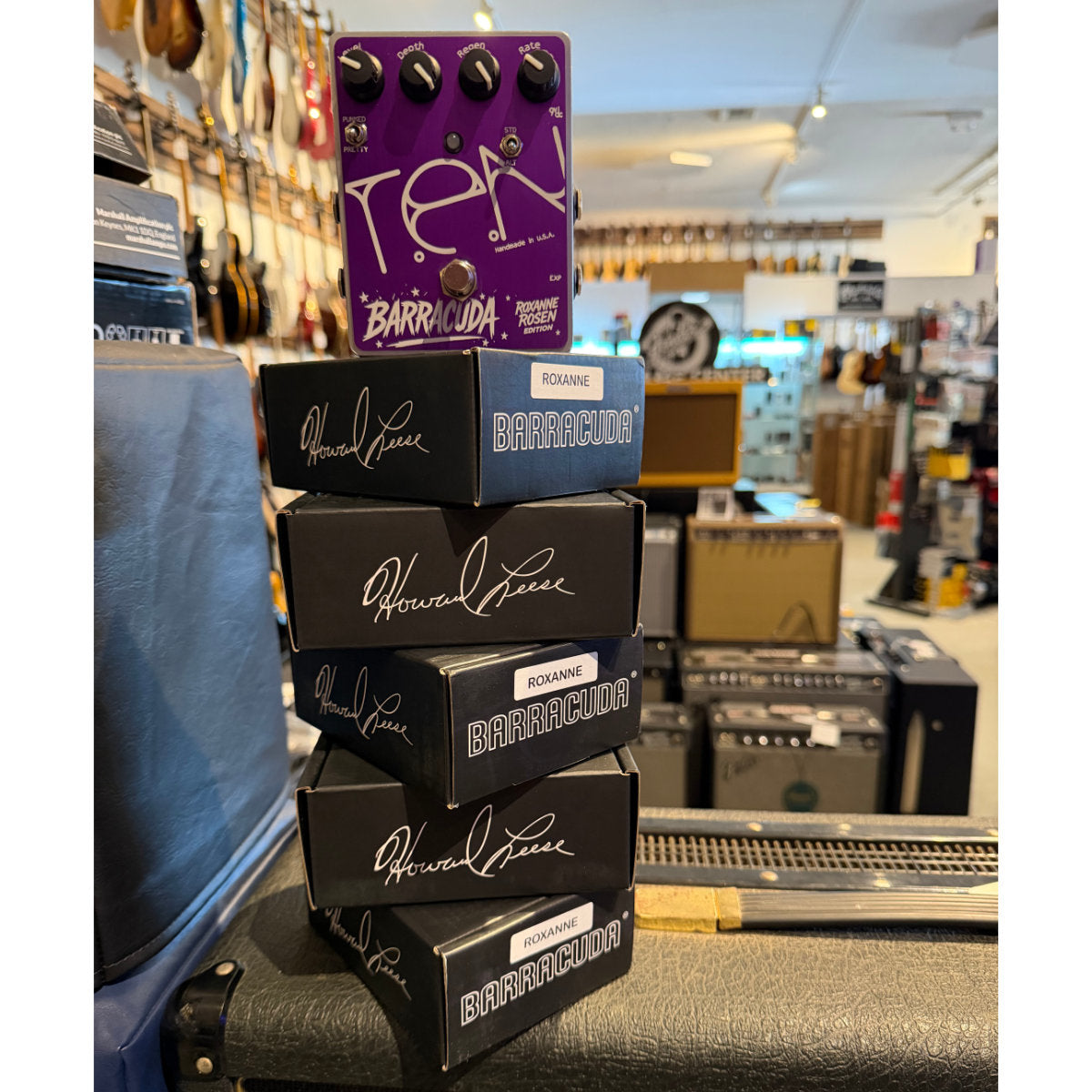Ten Effects Roxanne Rosen Punked Out Pretty Edition Howard Leese Barracuda Analog Flanger Pedal