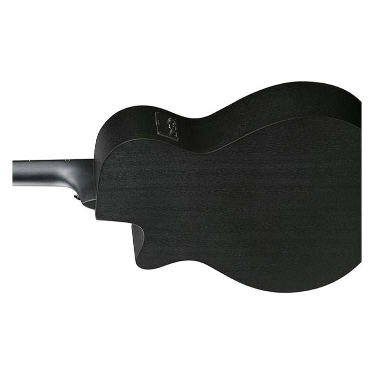 Ibanez AEG621 AEG Series Acoustic-Electric Guitar - Black Out