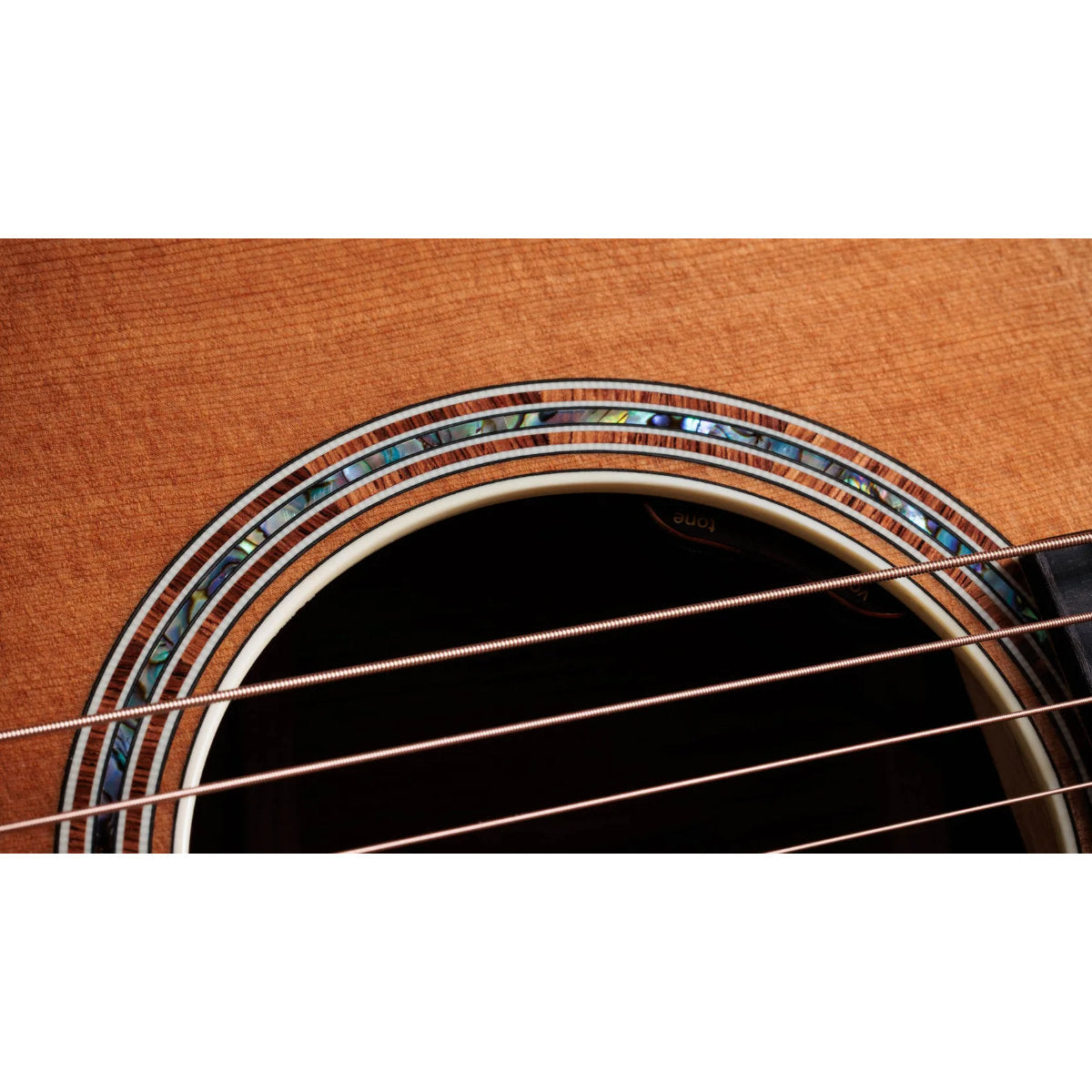 Taylor Gold Label 810e Honduran Rosewood Acoustic-Electric Guitar