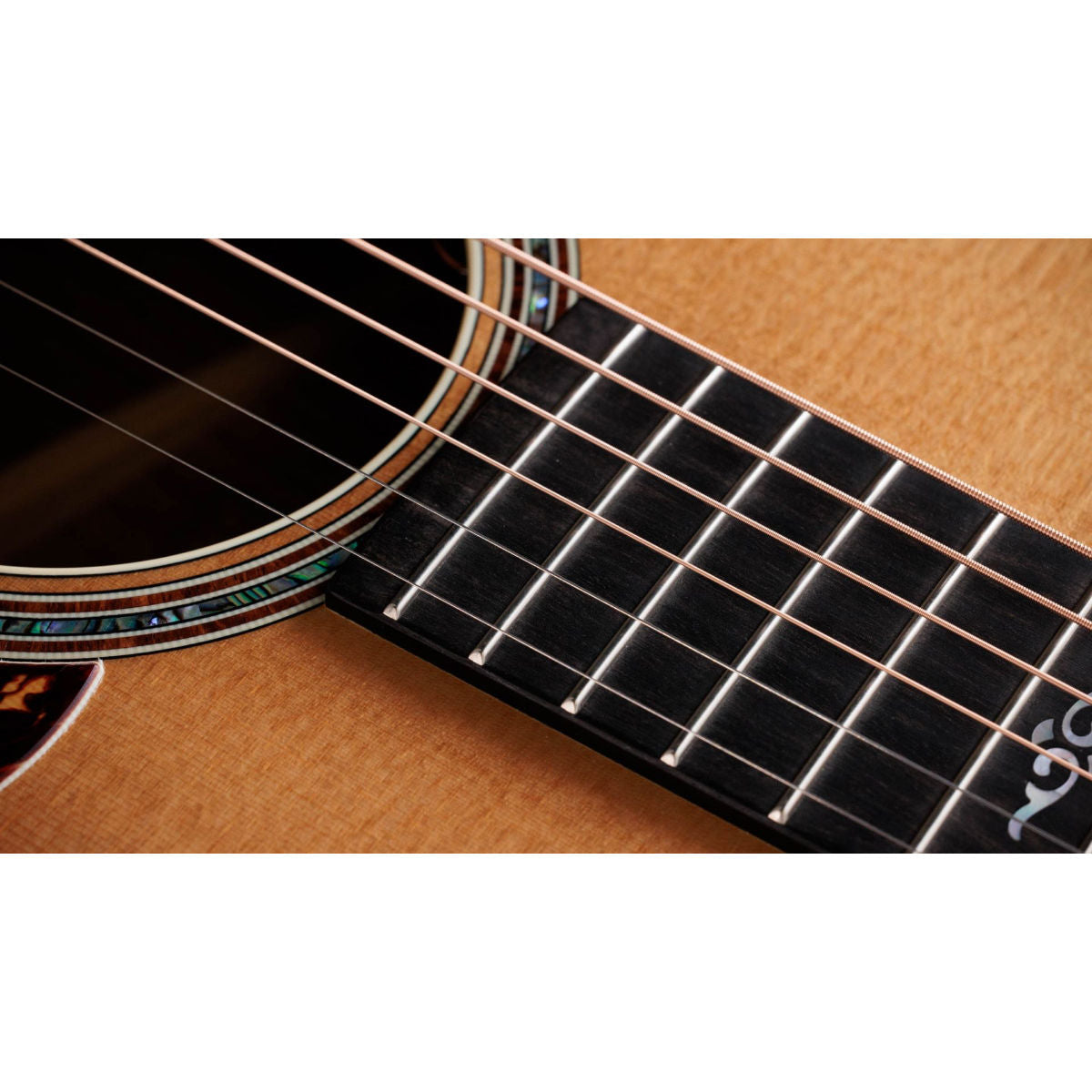 Taylor Gold Label K14e Hawaiian Koa Acoustic-Electric Guitar - Natural - Bananas at Large®