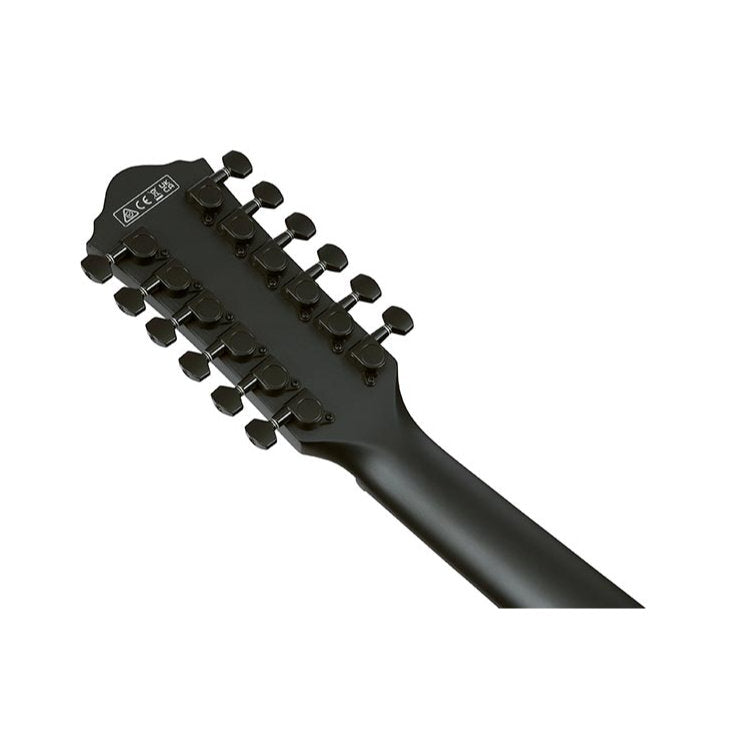 Ibanez AEG1221 AEG Series 12-String Acoustic-Electric Guitar - Black Out