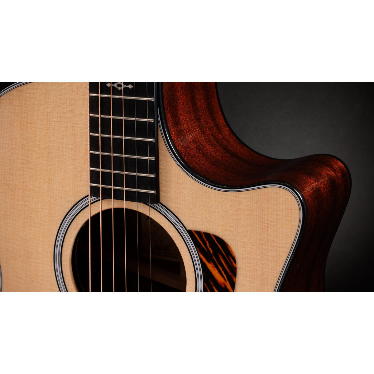 Taylor Next-Gen 314ce Grand Auditorium Acoustic-Electric Guitar - Sapele/Sitka - Bananas at Large®