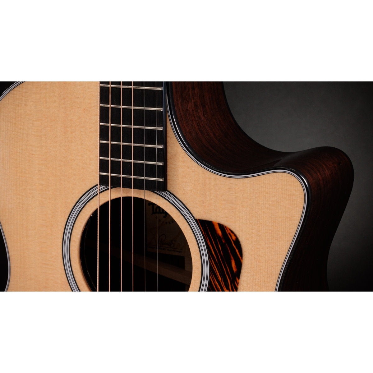 Taylor Next-Gen 414ce Grand Auditorium Acoustic-Electric Guitar - Indian Rosewood/Sitka