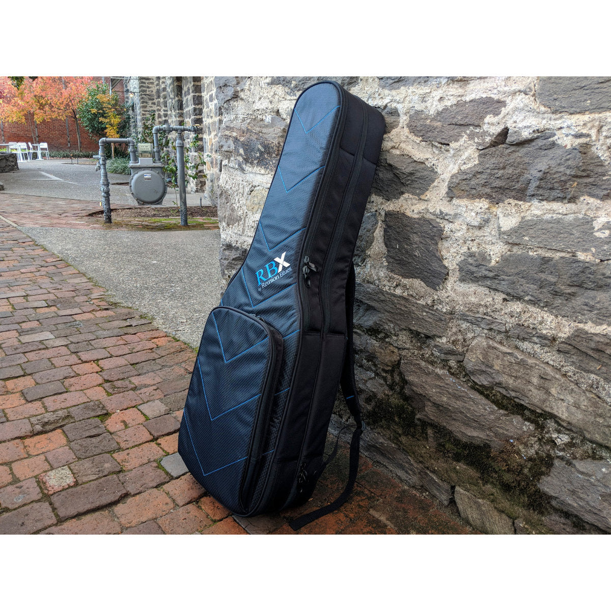 Reunion Blues RBX-2E Double Electric Guitar Gig Bag - Bananas at Large®