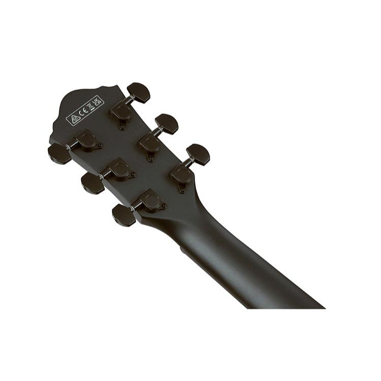 Ibanez AEG621 AEG Series Acoustic-Electric Guitar - Black Out
