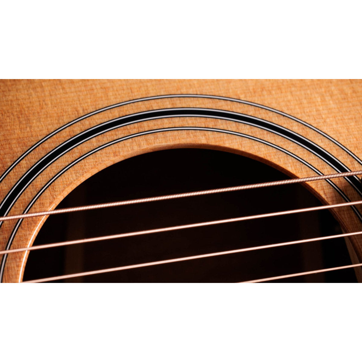 Taylor 314ce Studio Acoustic-Electric Guitar - Natural - Bananas at Large®