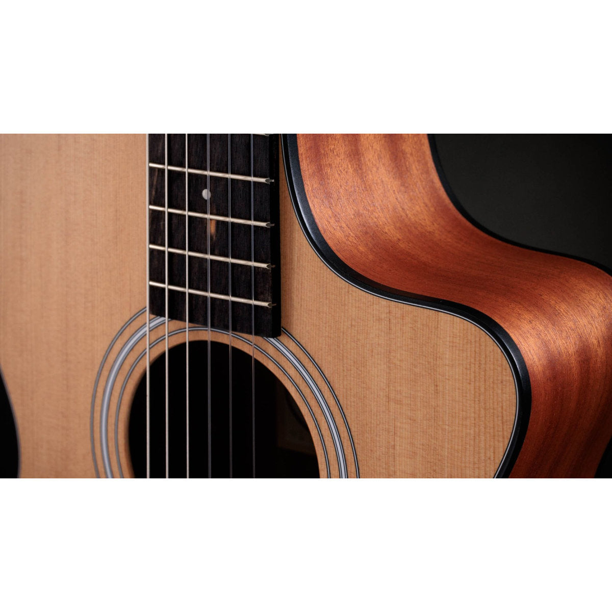 Taylor 112ce-N Nylon String Acoustic-Electric Guitar - Bananas at Large®