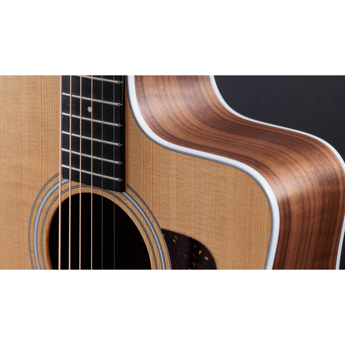 Taylor 210ce Walnut Acoustic-Electric Guitar
