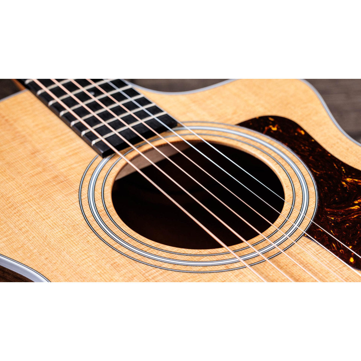 Taylor 212ce Acoustic-Electric Guitar - Solid Spruce Top - Walnut Back and Sides - Matte Finish