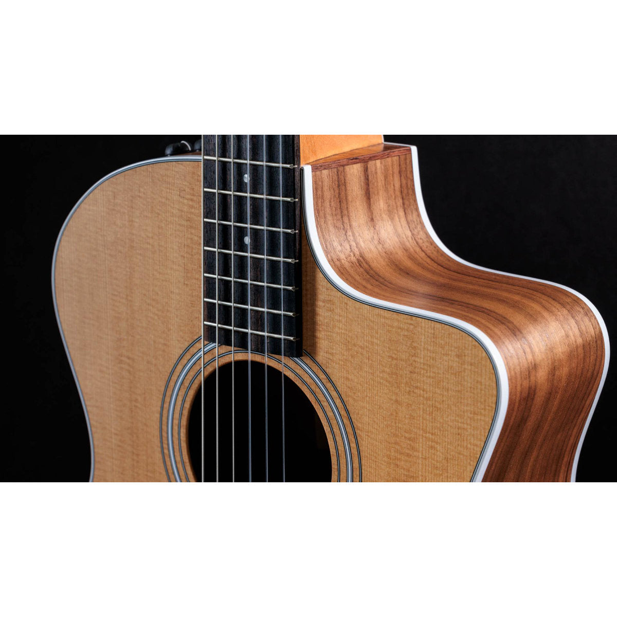 Taylor 214ce-N Nylon String Acoustic-Electric Guitar w/ Case - Bananas at Large®