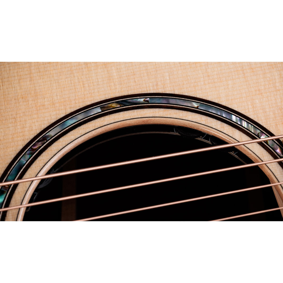 Taylor Next-Gen 814ce Grand Auditorium Acoustic-Electric Guitar - Bananas at Large®