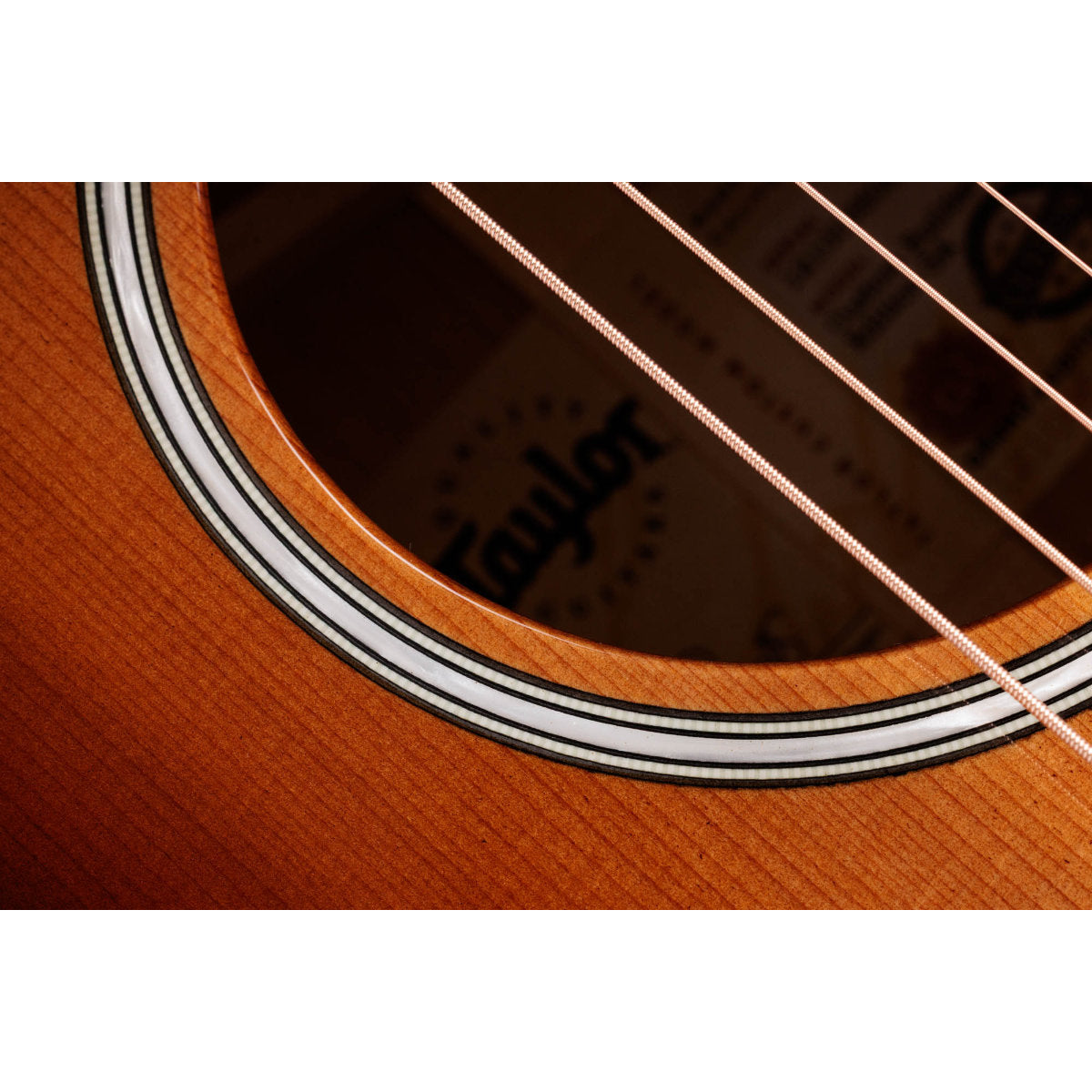 Taylor Custom Shop Limited Edition C14ce C0798 Grand Auditorium Acoustic-Electric Guitar - Striped Western Red Cedar/Mahogany