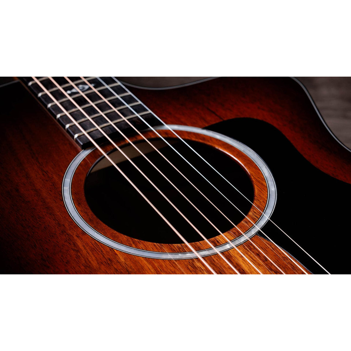 Taylor 224ce-K DLX Acoustic-Electric Guitar - Shaded Edgeburst - Bananas at Large®