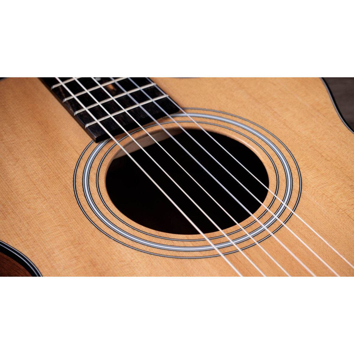 Taylor 112ce-N Nylon String Acoustic-Electric Guitar - Bananas at Large®