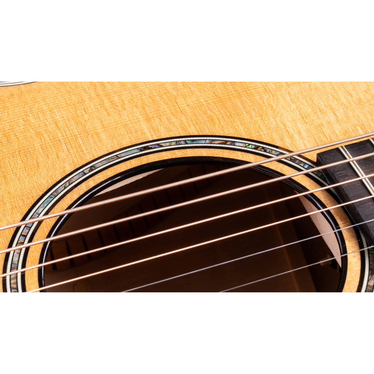 Taylor 614ce Maple Acoustic-Electric Guitar - Torified Solid Sitka Top