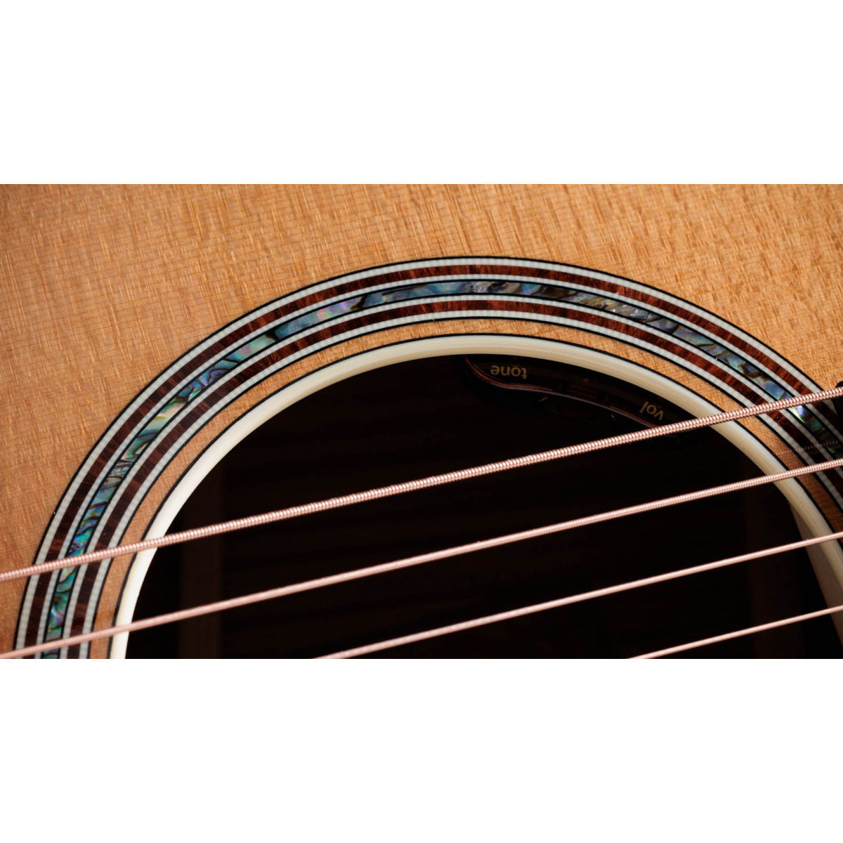 Taylor Gold Label K14e Hawaiian Koa Acoustic-Electric Guitar - Natural - Bananas at Large®