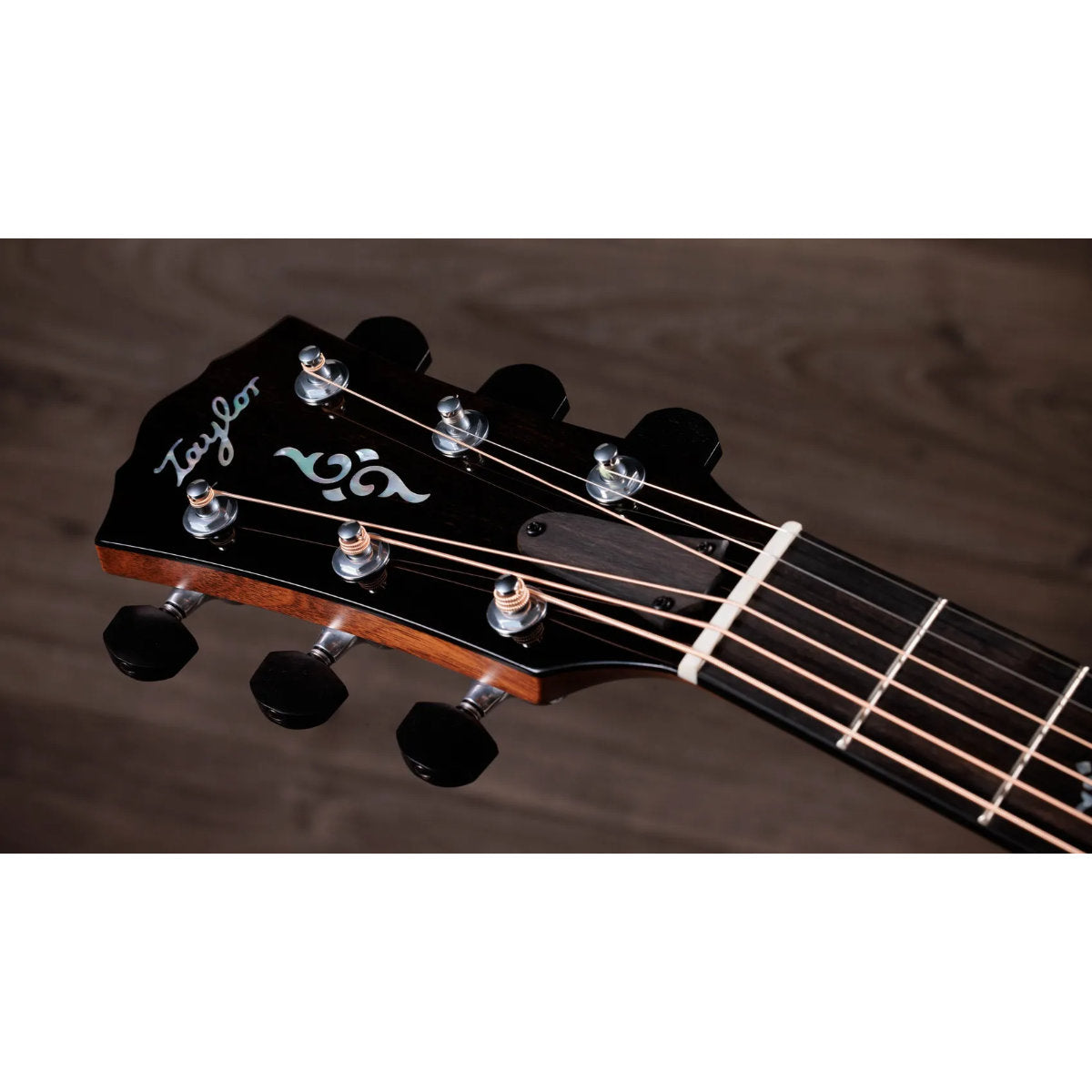 Taylor Gold Label 810e Honduran Rosewood Acoustic-Electric Guitar