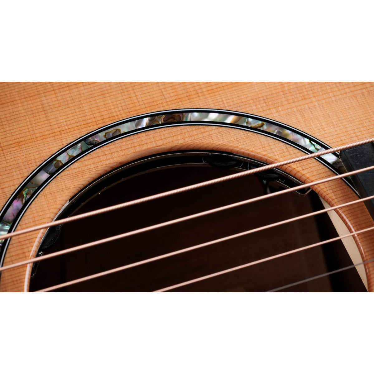 Taylor Next Generation 512ce Neo-tropical Mahogany Acoustic-Electric Guitar