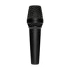 Lewitt MTP 250 DM Dynamic Handheld Microphone