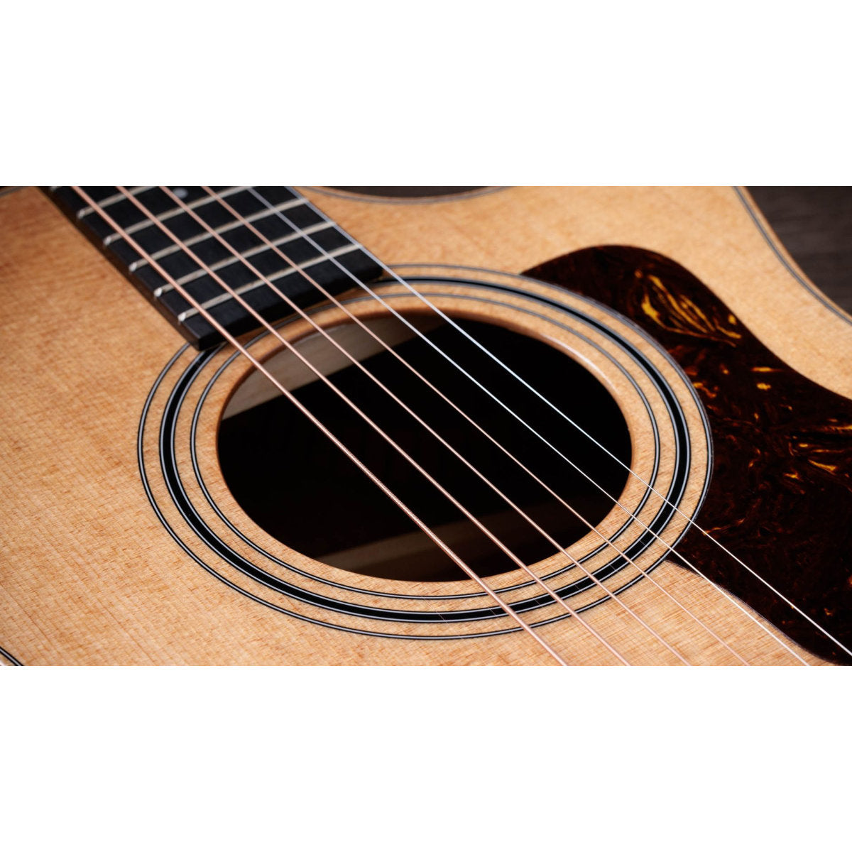 Taylor 314ce Studio Acoustic-Electric Guitar - Natural - Bananas at Large®