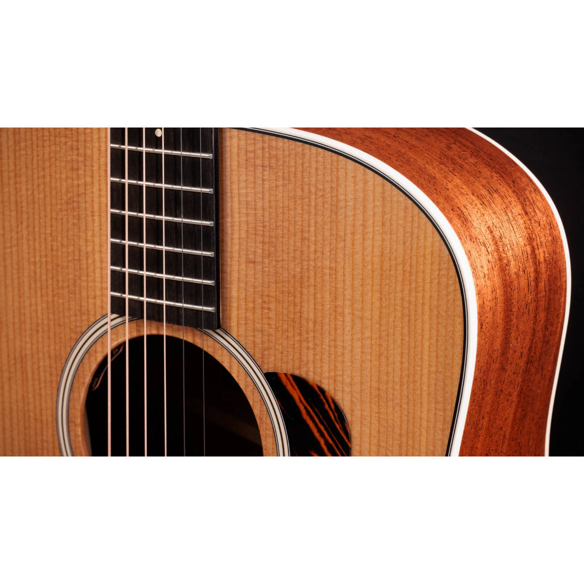Taylor Gold Label 510e Acoustic-Electric Guitar