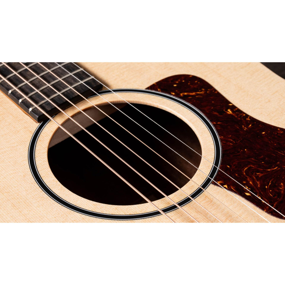 Taylor BBT Big Baby Taylor Acoustic Guitar with Gig Bag - Bananas at Large®