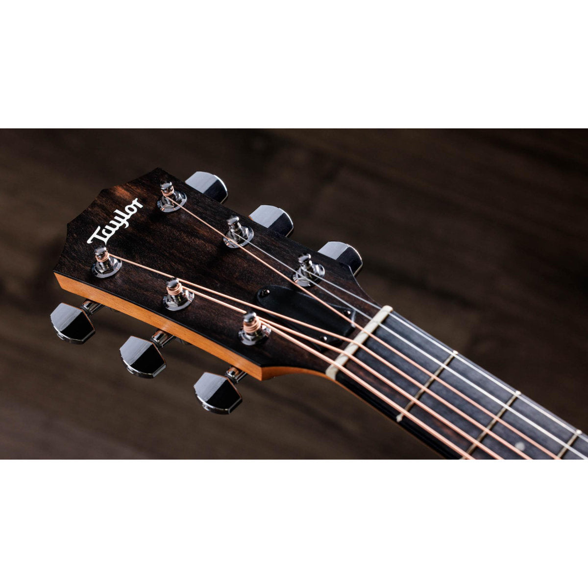 Taylor 212ce Acoustic-Electric Guitar - Solid Spruce Top - Walnut Back and Sides - Matte Finish
