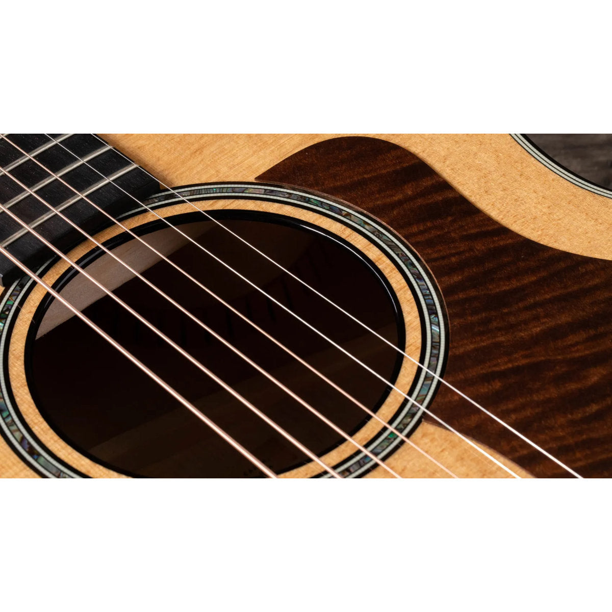 Taylor 614ce Maple Acoustic-Electric Guitar - Torified Solid Sitka Top