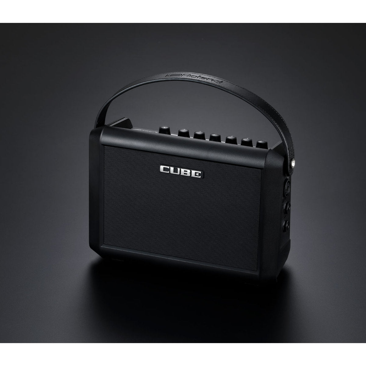 Roland CUBE Street MINI Portable Amplifier - Bananas at Large®