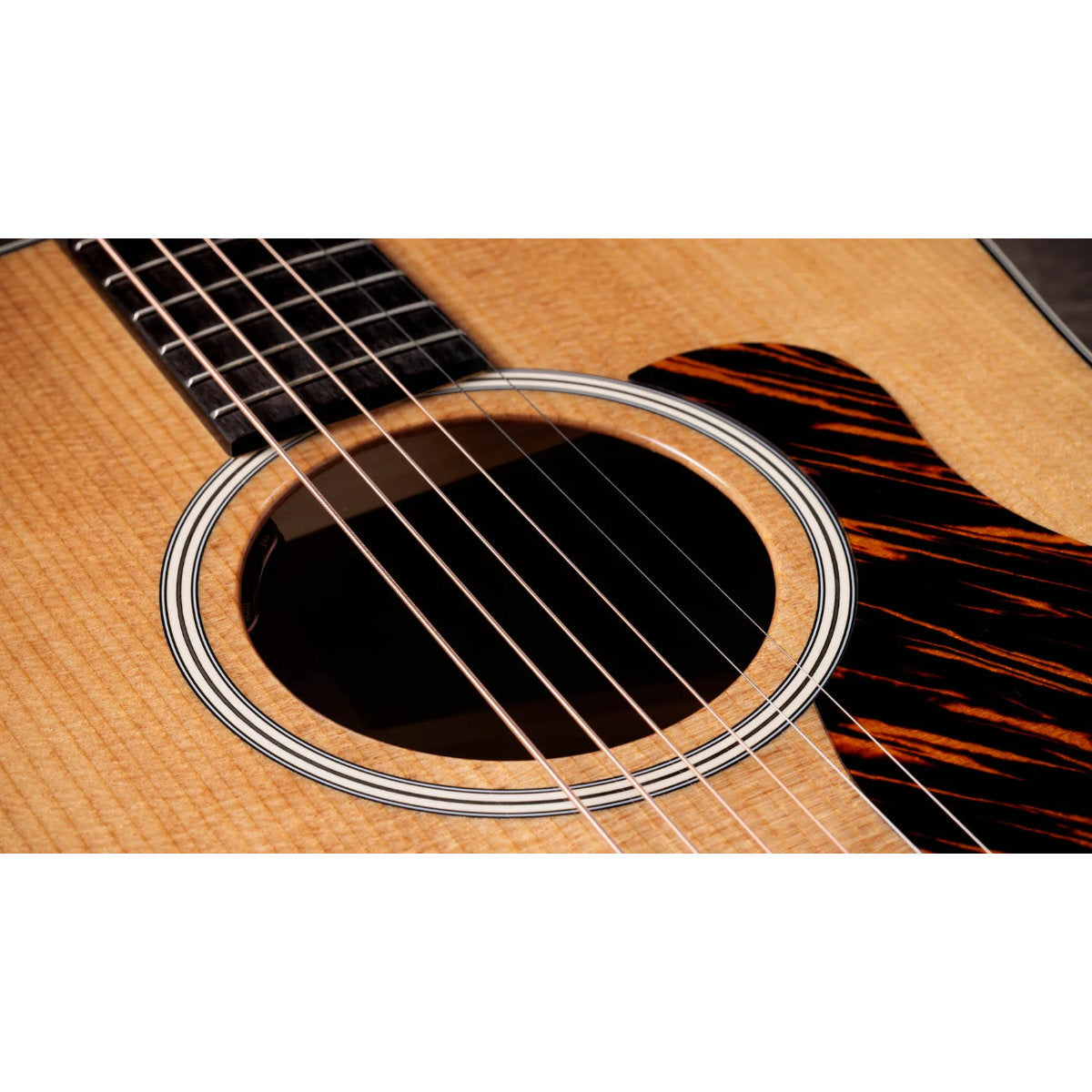 Taylor Gold Label 510e Acoustic-Electric Guitar