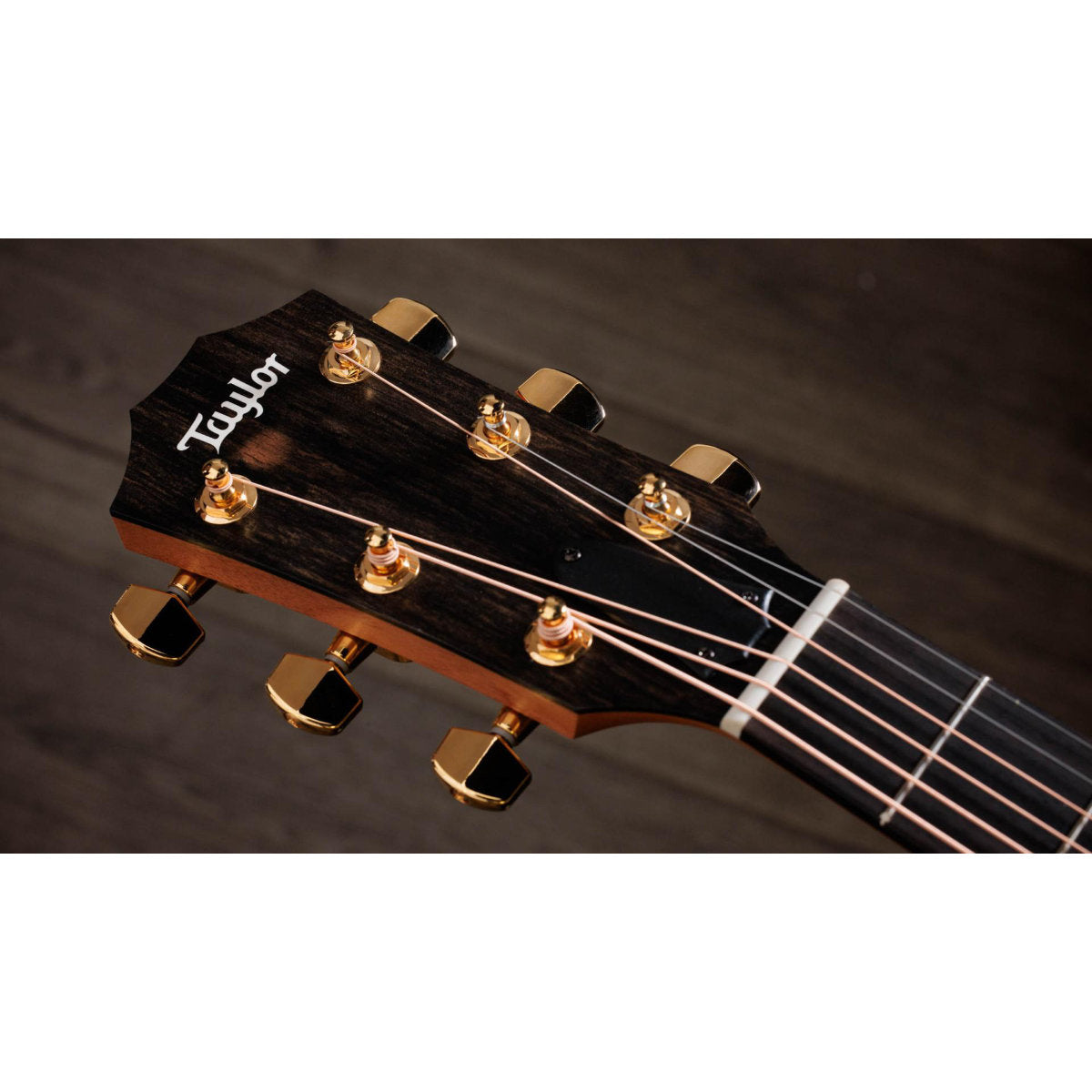 Taylor 224ce-K DLX Acoustic-Electric Guitar - Shaded Edgeburst - Bananas at Large®