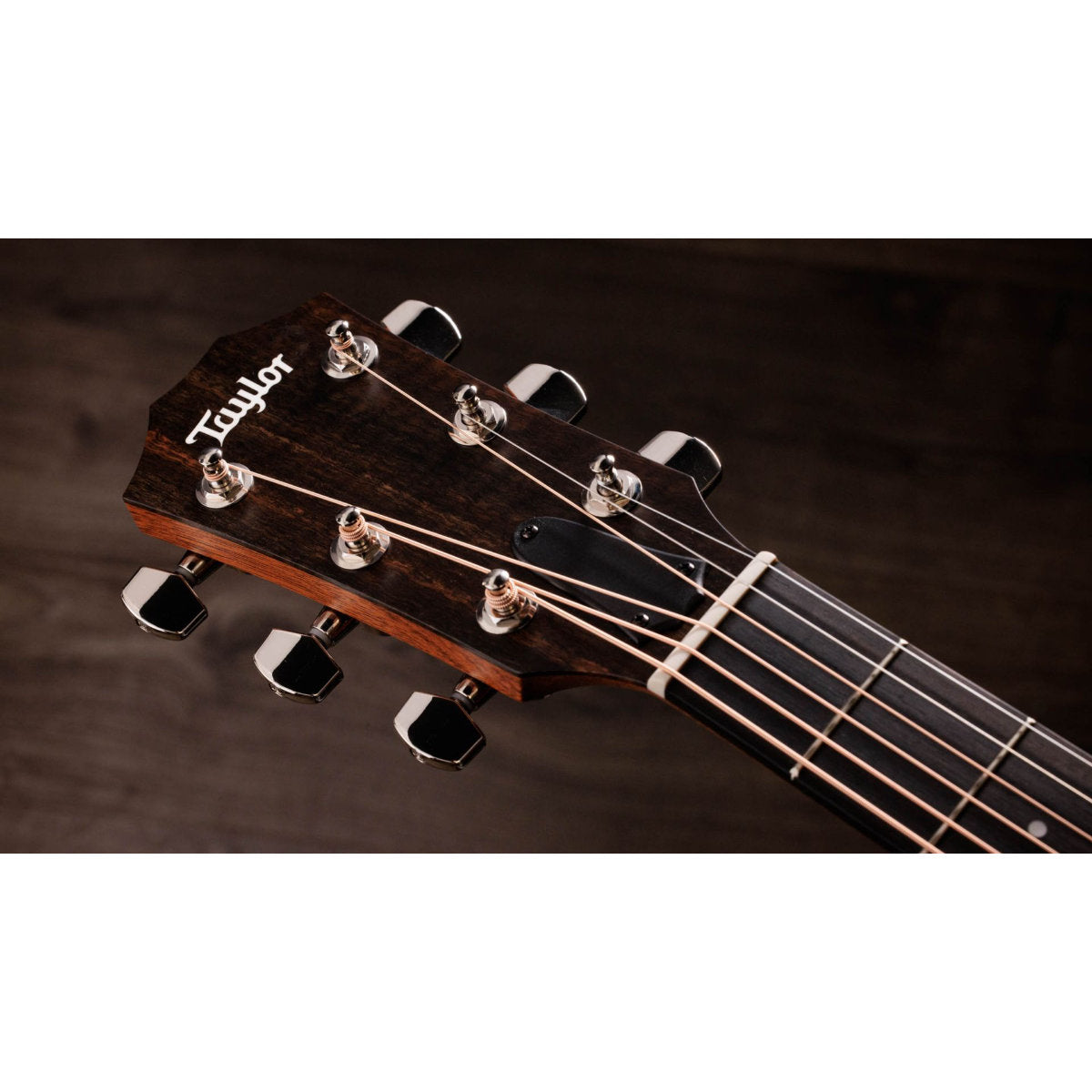 Taylor 314ce Studio Acoustic-Electric Guitar - Natural - Bananas at Large®