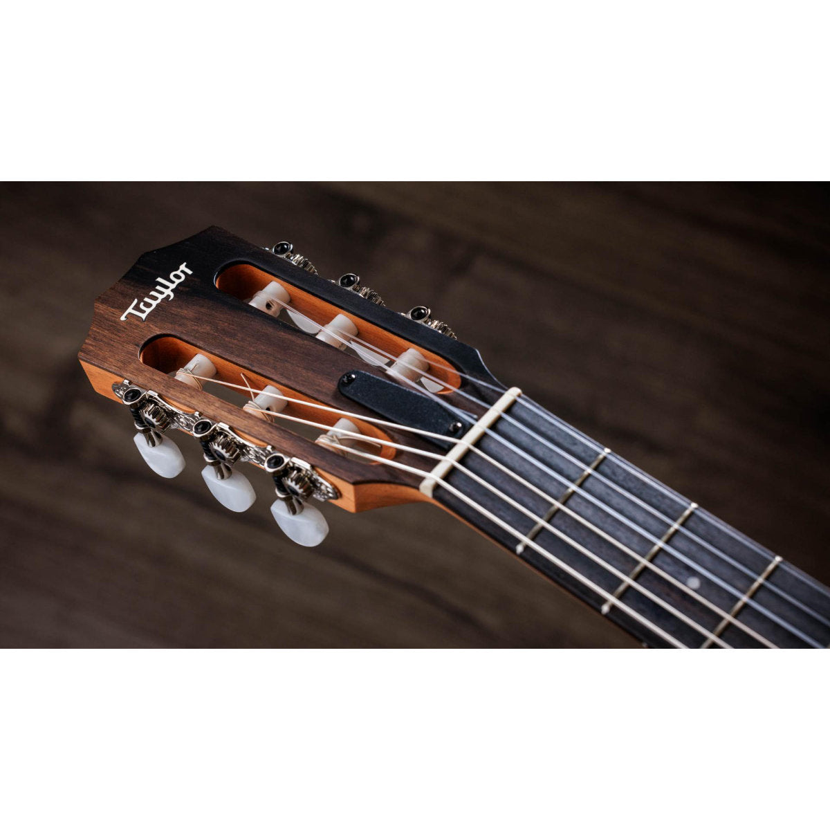 Taylor 214ce-N Nylon String Acoustic-Electric Guitar w/ Case - Bananas at Large®