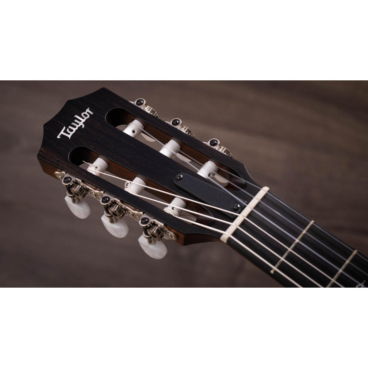 Taylor 314ce-n Nylon Acoustic Electric Guitar