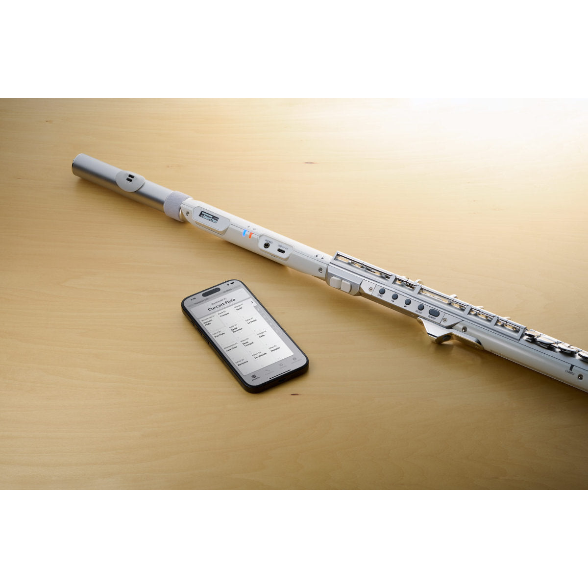 Roland Aerophone Brisa Digital Wind Instrument – Bananas At Large