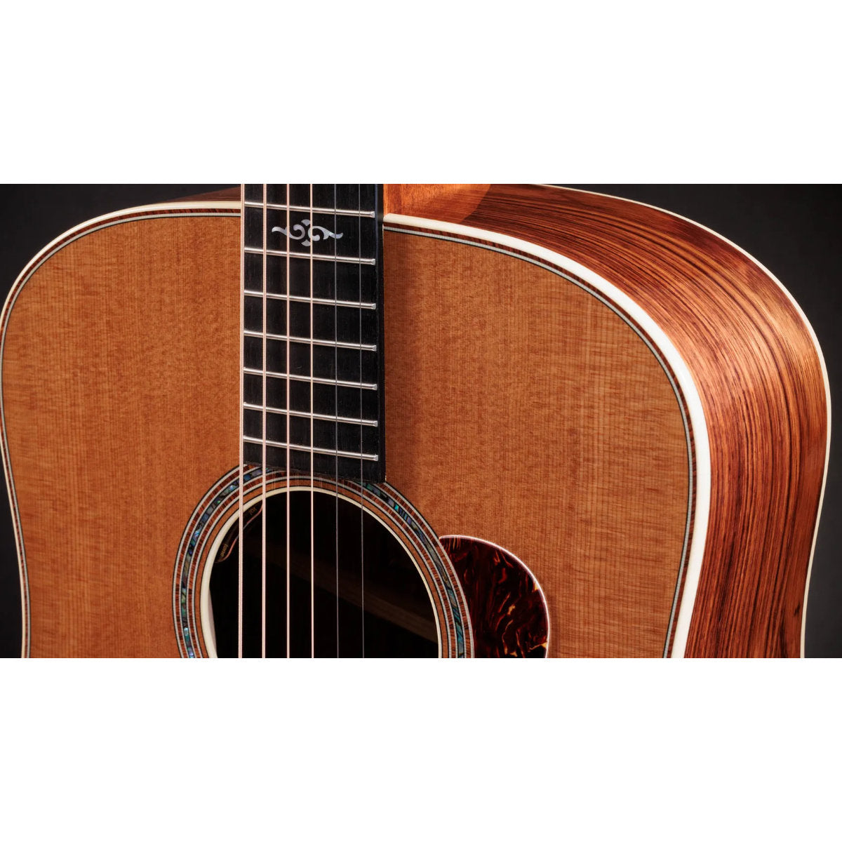 Taylor Gold Label 810e Honduran Rosewood Acoustic-Electric Guitar