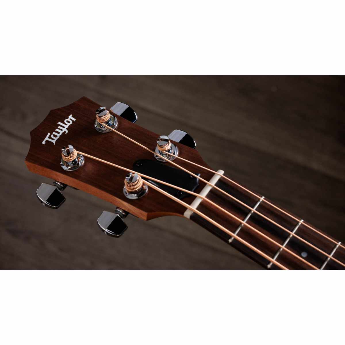 Taylor GS Mini-e Bass Acoustic Bass - Sapele Top Wood/Sitka Spruce Body - Bananas at Large®