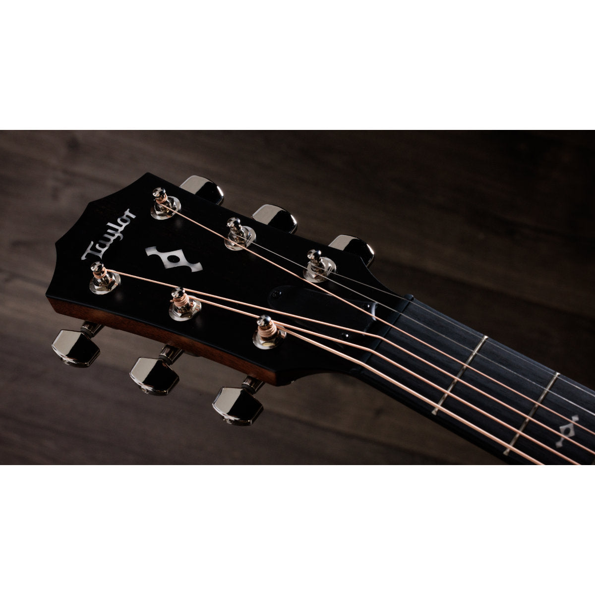 Taylor Next-Gen 314ce Grand Auditorium Acoustic-Electric Guitar - Sapele/Sitka - Bananas at Large®