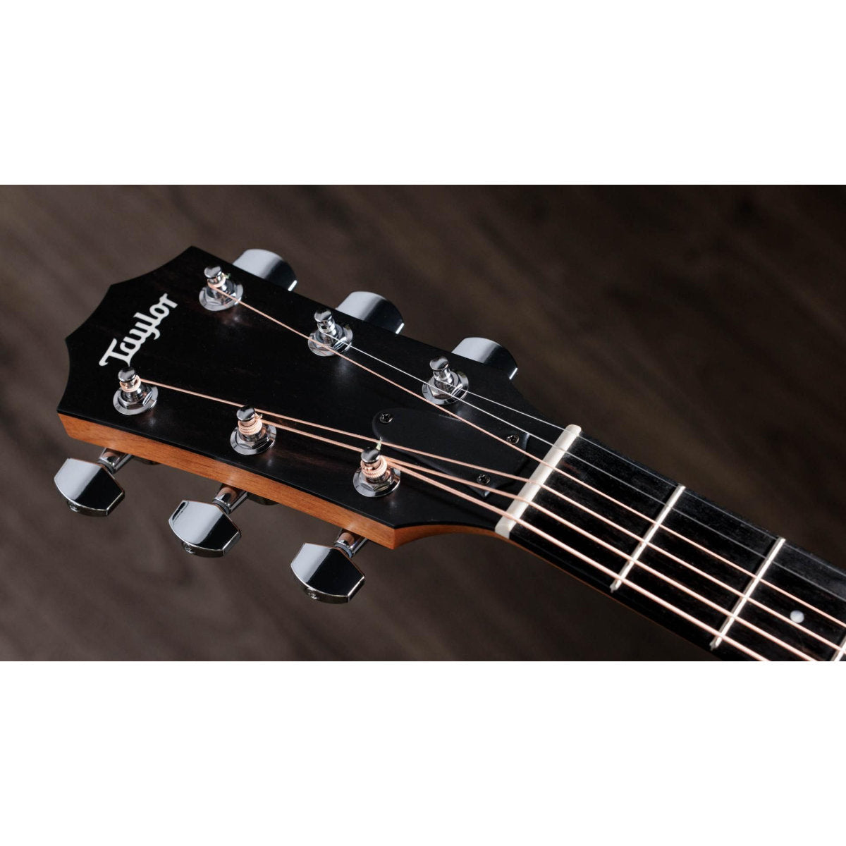 Taylor 210ce Walnut Acoustic-Electric Guitar