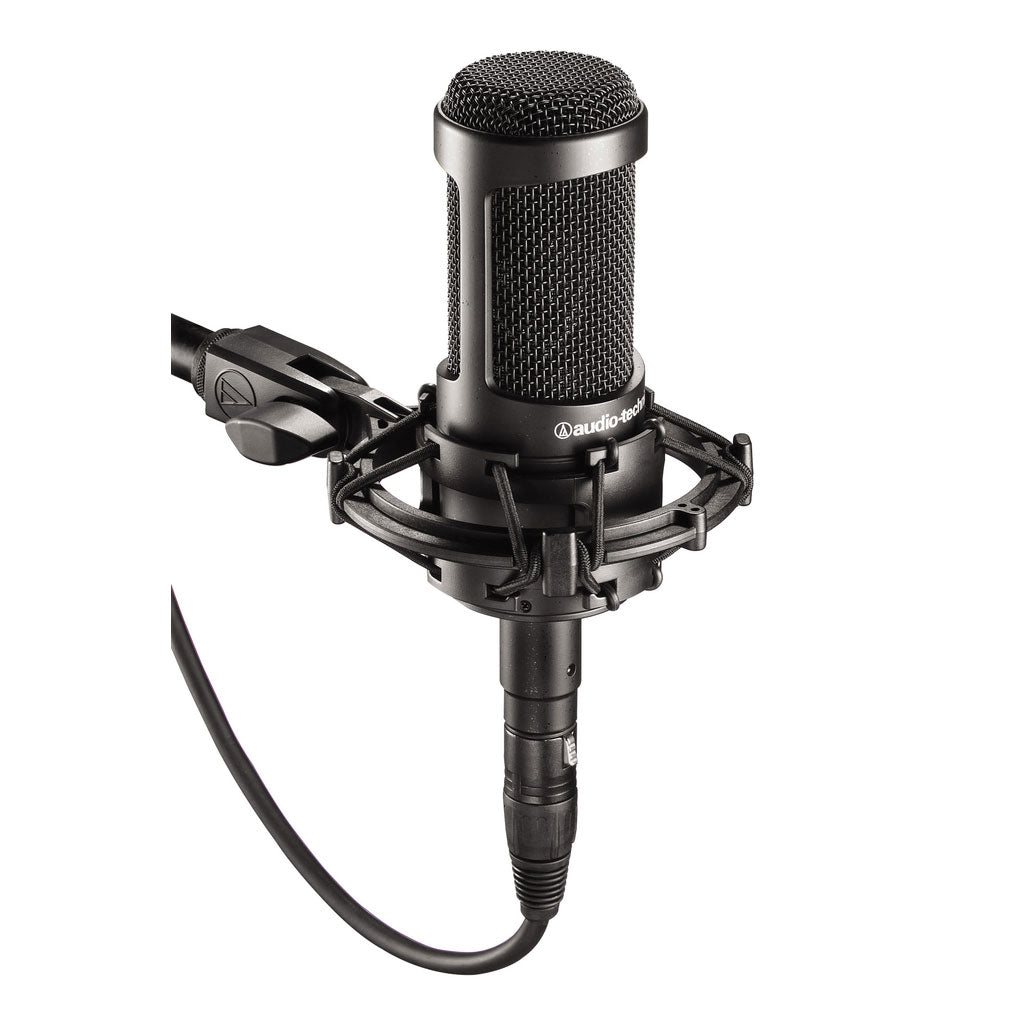 Audio-Technica AT2035 Cardioid Condenser Microphone - Bananas at Large®