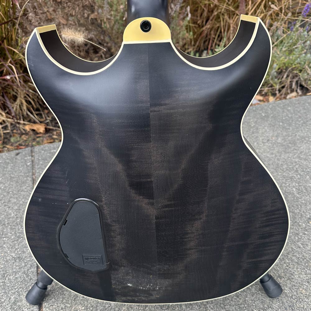 Warwick Jonas Hellborg Signature Hollowbody Bass (Juan Alderete Private Collection) (Pre-Owned)