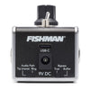 Fishman AFX Broken Record Mini Looper/Sampler Pedal