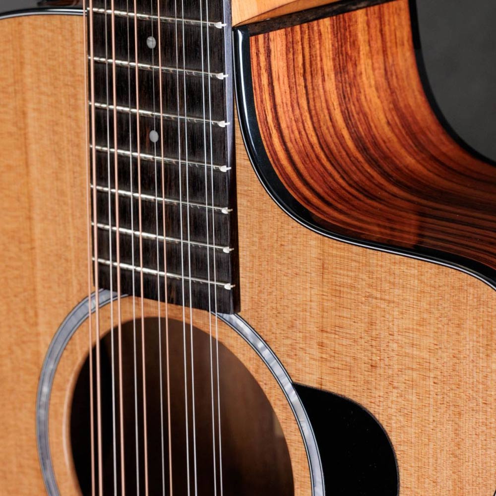 Taylor 254ce Plus 12-String Grand Auditorium Acoustic-Electric Guitar w/ Case - Bananas at Large®